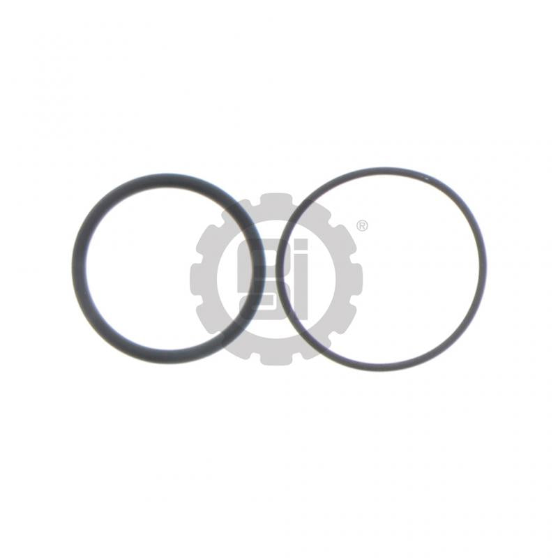 O-Ring Kit Mack 24433898, 8609-EHL243